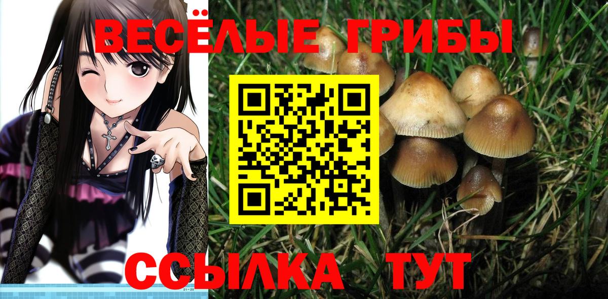 Одинцово  Псилоцибиновые грибы мухоморы  Вход с VPN 